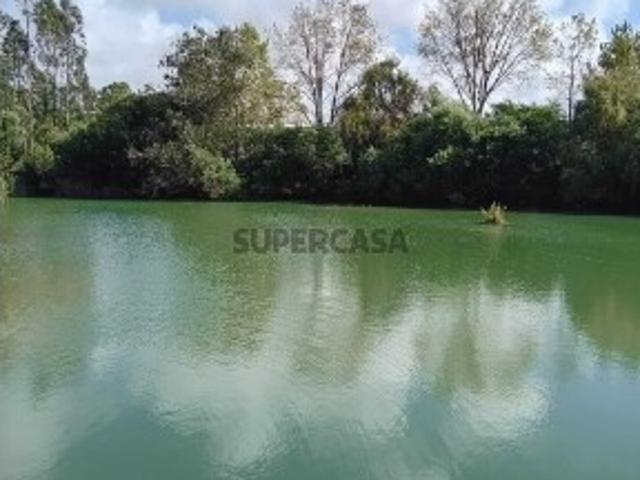 Terreno de 30 000 m2 construtivo perto praia Paredes da Vitória Alcobaça
