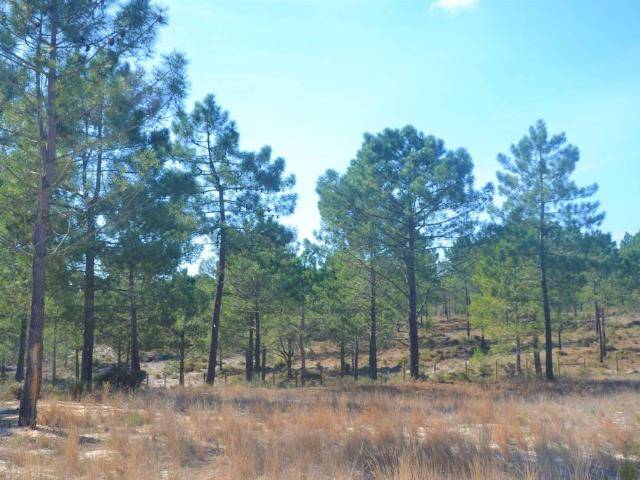 Terreno de 325 m2 Comporta, Portugal