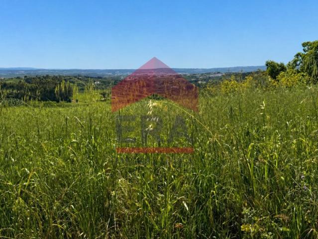 Terreno de 3.800m2 em casal do Queijo, Bombarral