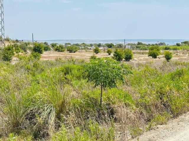 Terreno de 3.970 m2 en La Marina – Excelente Ubicación