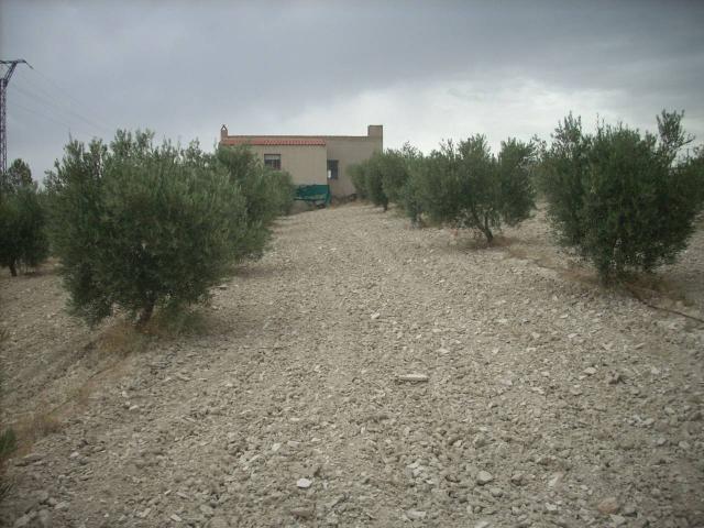TERRENO DE 48.000M² CON ALMACEN DE 200M² CON DEPENDENCIAS Y BAÑO