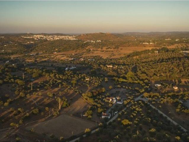 Terreno de 400 m2 à venda Montemor o Novo, Évora