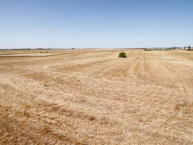 Terreno de 40.000 m junto Urb. Río Caya