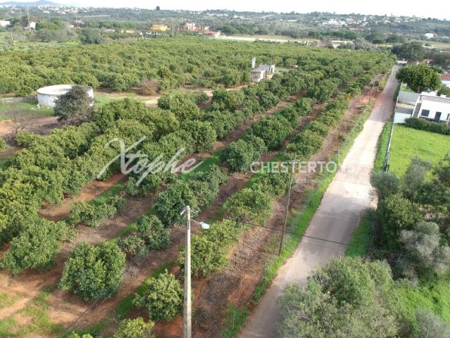 Fonte Santa Terreno de 42,350m2 com Projeto Aprovado para venda