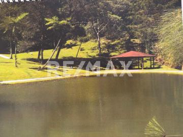 Terreno de 4 ha, a 10 minutos de Xalapa en venta