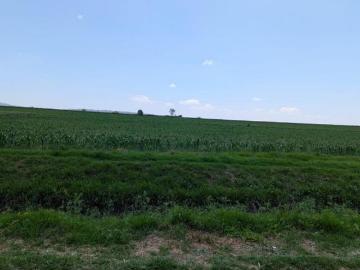 Terreno de 4 Hectarias en Los Arboles Queretaro