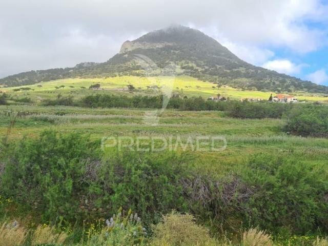 Terreno de 55031 m2 Vila de Porto Santo, Madeira