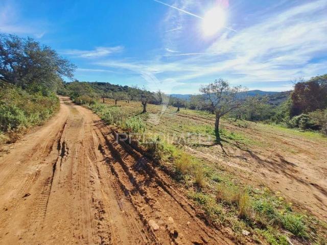 Terreno de 56502 m2 São Brás de Alportel, Portugal