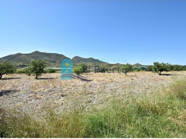 TERRENO DE 57000 METROS CON CASA PARA REFORMAR – REF 1452