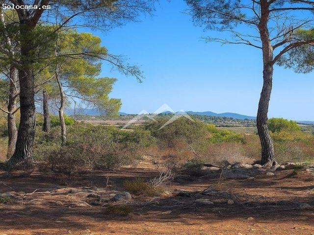 Terreno de 57.000 m2 con proyecto de vivienda con piscina en Manacor