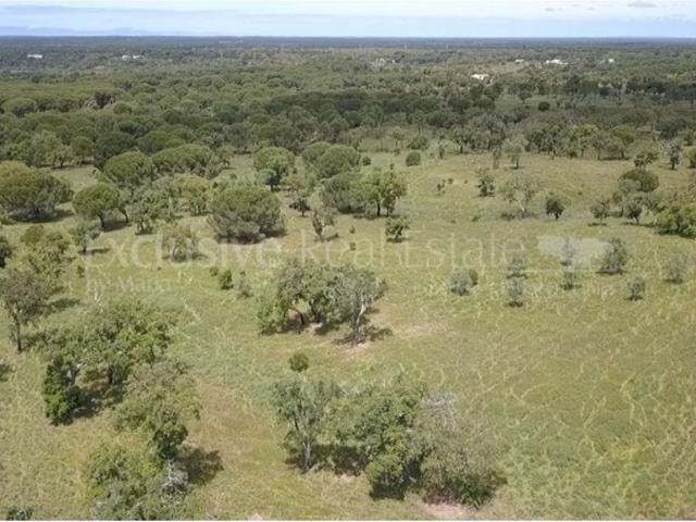 Terreno de 500 m2 Fontainhas, Grândola, Setúbal