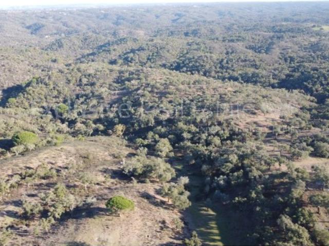 Terreno de 500 m2 à venda Estrada da Boavista, Grândola, Setúbal