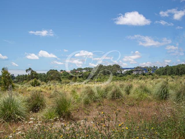 Terreno de 50.000m2, Sintra