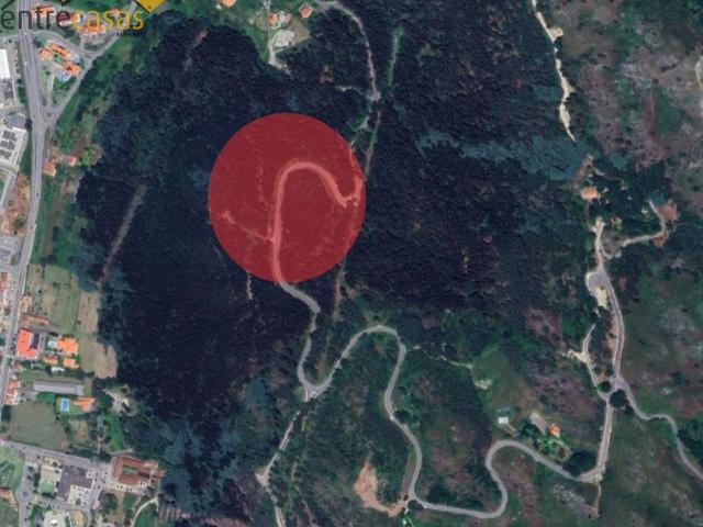 Terreno de 51300 m2 Vila Nova de Cerveira, Portugal