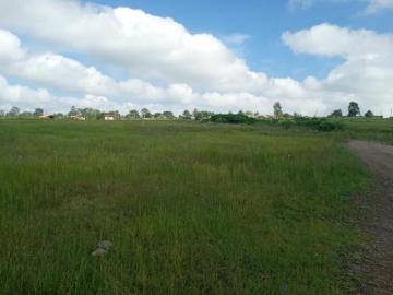 Terreno de 5,300 m² en San Pedro Tenango, Amealco – Ideal para Casa de Descanso o Cabañas