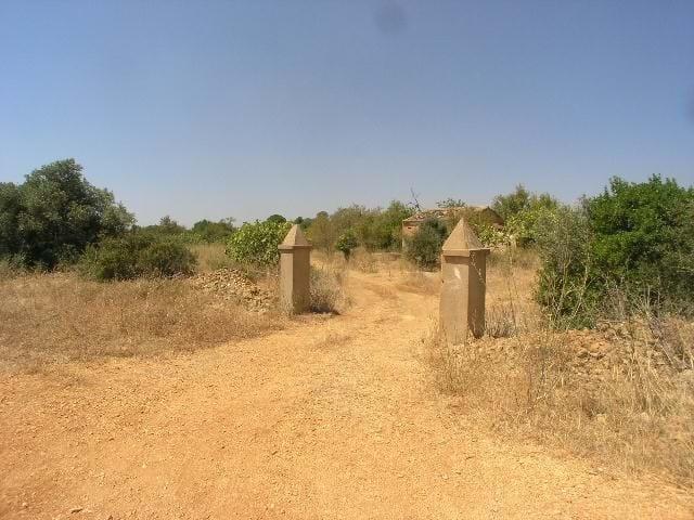 Terreno de 5 hectares com Ruína na Guia, Albufeira 300m² Alcantarilha e pêra