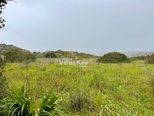 Terreno de 6000 m2 Urbanizacao Pontalgar, Portimão, Faro