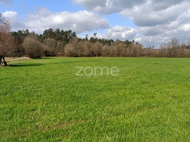 Terreno de 6080 m2, Cervães Vila Verde