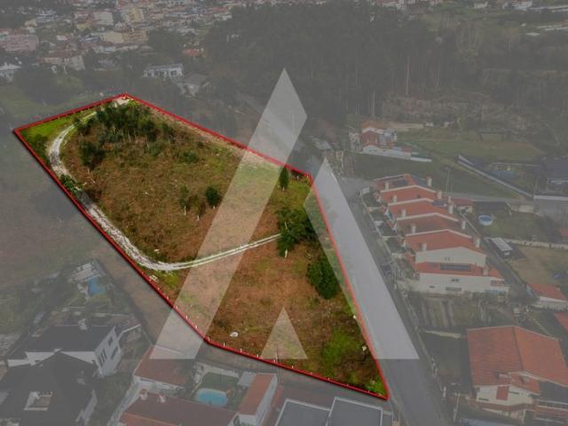 Terreno de 6116 m2 à venda Santa Maria da Feira, Aveiro