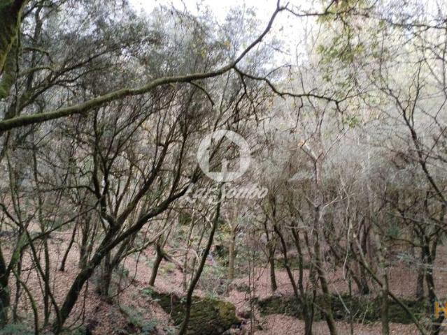 Terreno de 6140m² no Parque Natural do Gerês | 26083810217