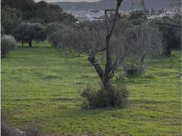 Terreno de 6200 m2 à venda São Brás de Alportel, Faro