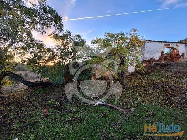 Terreno de 6,1 ha com Ruína | 26064061858
