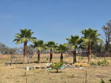 Terreno de 6.1 has en Salida a Silao ideal para inversionistas o desarrolladores