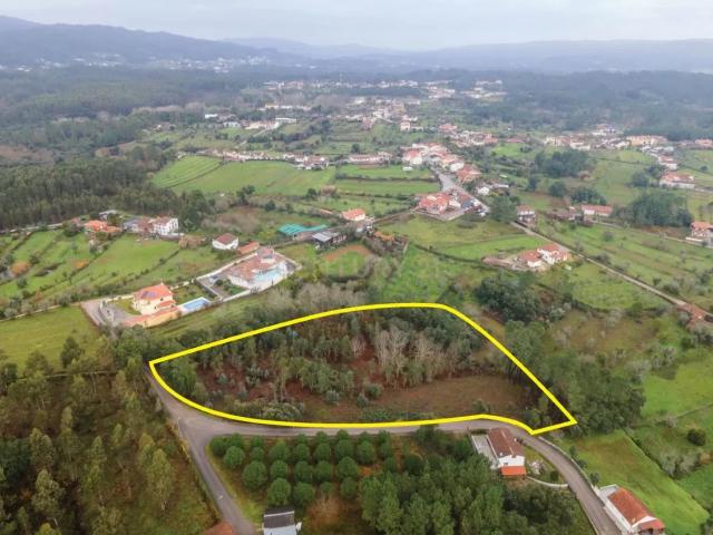 Terreno de 6.600m2 com Potencial de Construção Vila Nova de Poiares