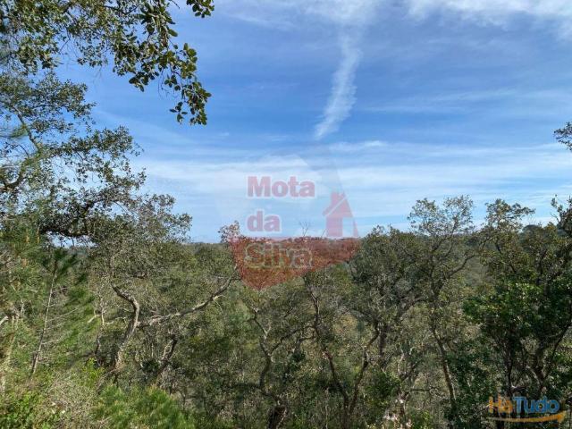Terreno de 6ha com vista mar em São Francisco da Serra | 26084060201