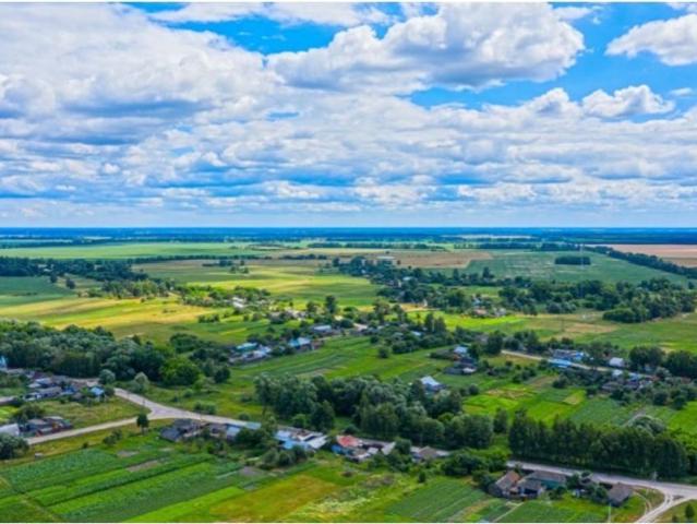 Terreno de 75000 m2 Salvaterra de Magos, Santarém