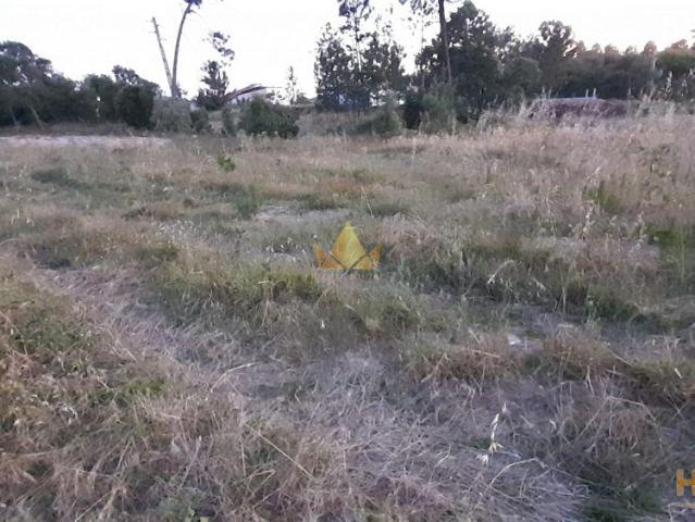 Terreno de 700m2 para Venda em Amor | 26063801490