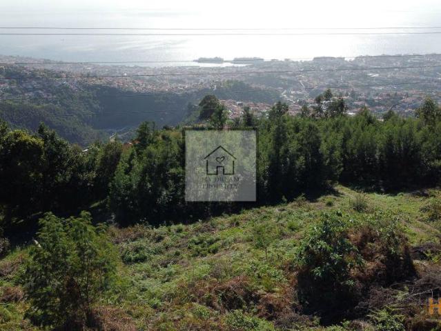 Terreno de 7110m2 em São Roque | 26063583622