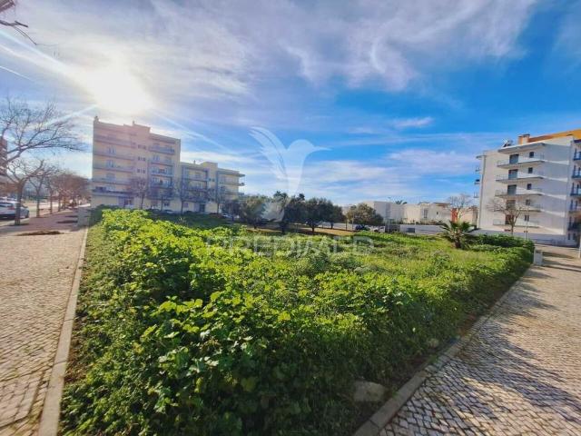 Terreno de 7158 m2 Loulé, Portugal