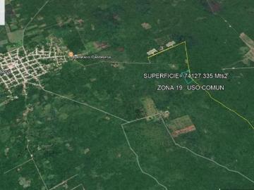 Terreno de 7.4 hectáreas, ubicado en Seyé, cerca de la Hacienda Xucu