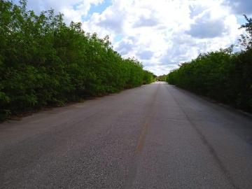 Terreno de 7,718 m? a 100 metros del Periferico