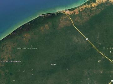 Terreno de 7 Hectáreas con 340.90 ML Frente al Mar, en venta en Sisal