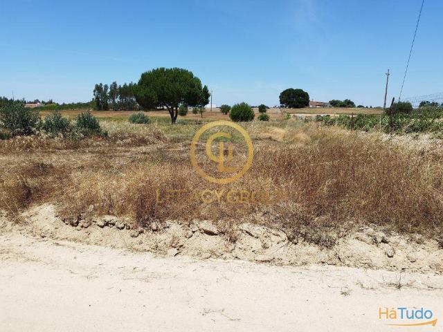 TERRENO DE 8250m2 EM ARRIÇA | 26084008275