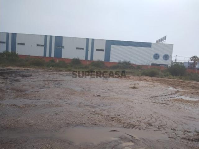 Terreno de 8.200m2 Quinta do Anjo