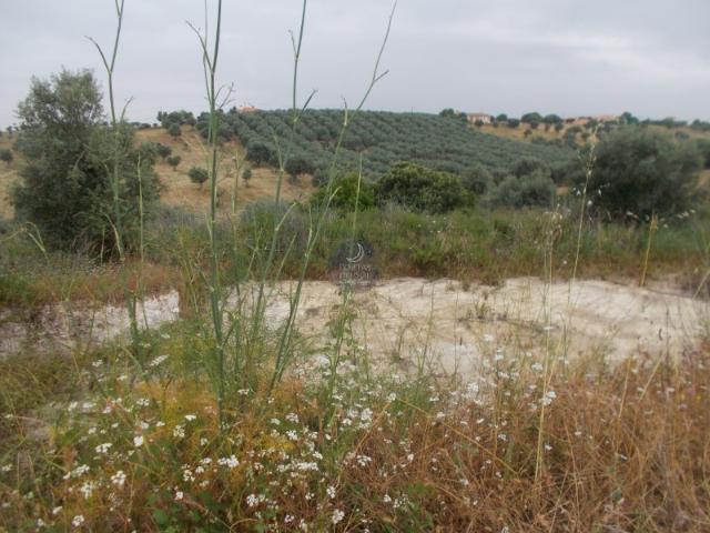 Terreno de 8.560 m2 c/ poço