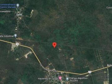 Terreno de 8 hectáreas en venta en Ticopó