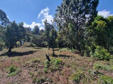 Terreno de 9000 m2 en el Fresno
