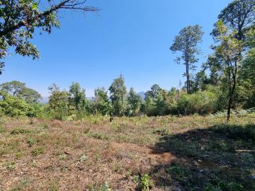 Terreno de 9000 m2 en el Fresno