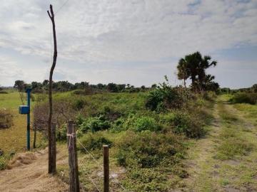 Terreno de 90 hectáreas en venta en El Mediadero. ALVARADO, VERACRUZ
