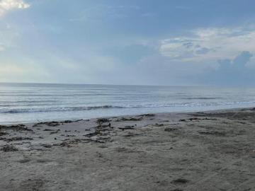 Terreno de 9,005 m2 en venta en Mata de Uva. ALVARADO VER. A PIE DE PLAYA