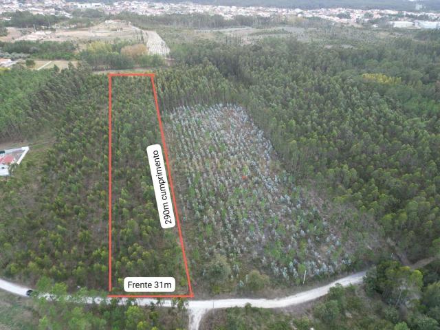 Terreno de 9.275 m² à Venda Oportunidade de Investimento em Zona Verde com Possibilidade de Expansão