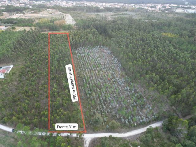 Terreno de 9.275 m² à Venda Oportunidade de Investimento em Zona Verde com Possibilidade de Expansão