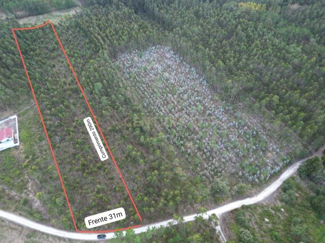 Terreno de 9.275 m² à Venda Oportunidade de Investimento em Zona Verde com Possibilidade de Expansão