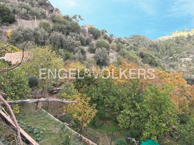 Terreno, Deià