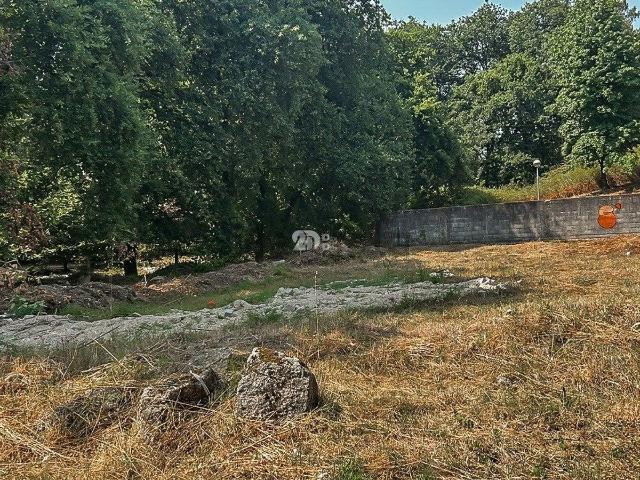 Terreno, Delães