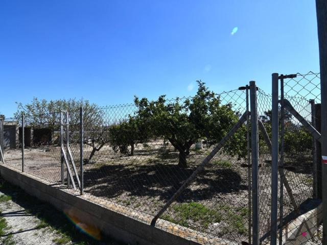 Terreno, Deltebre